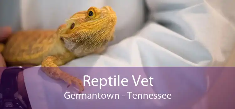 Reptile Vet Germantown - Tennessee