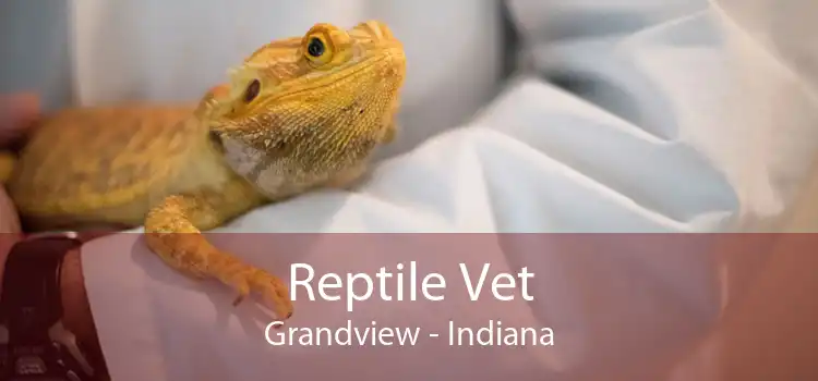 Reptile Vet Grandview - Indiana