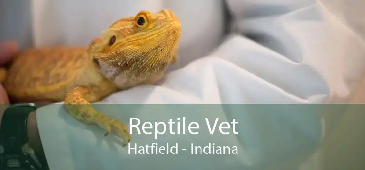 Reptile Vet Hatfield - Indiana