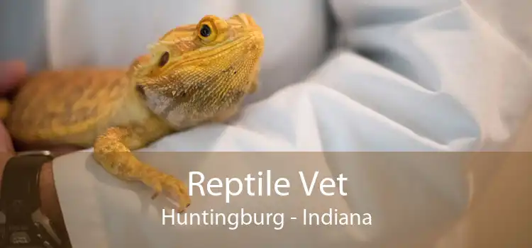 Reptile Vet Huntingburg - Indiana