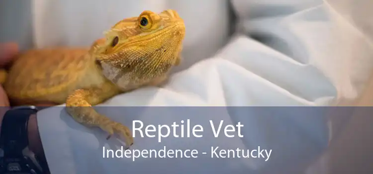 Reptile Vet Independence - Kentucky