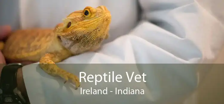 Reptile Vet Ireland - Indiana