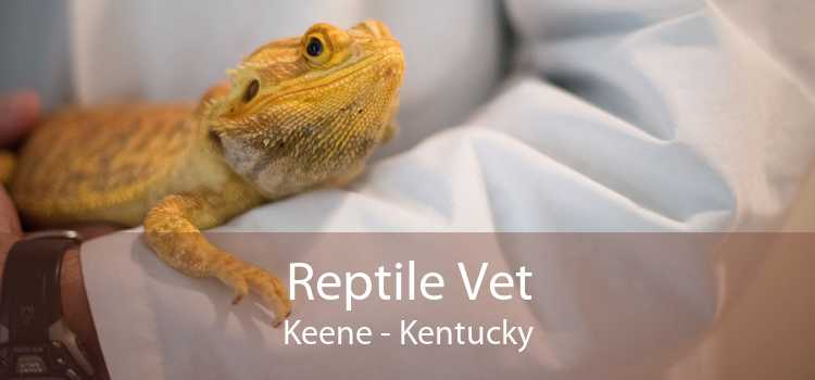 Reptile Vet Keene - Kentucky