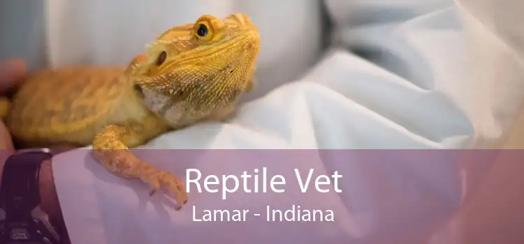 Reptile Vet Lamar - Indiana