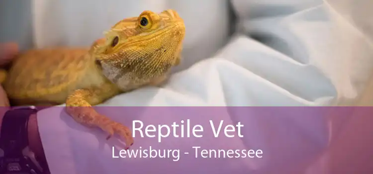 Reptile Vet Lewisburg - Tennessee