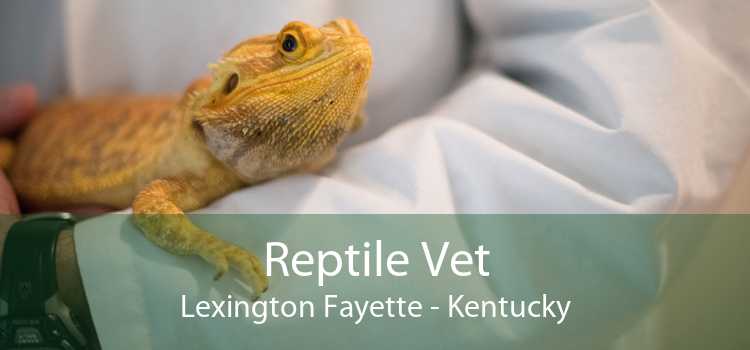 Reptile Vet Lexington Fayette - Kentucky