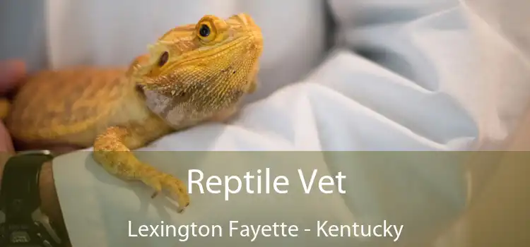 Reptile Vet Lexington Fayette - Kentucky