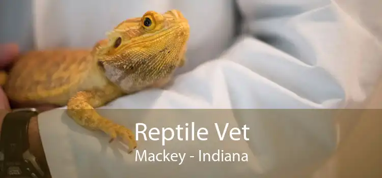 Reptile Vet Mackey - Indiana