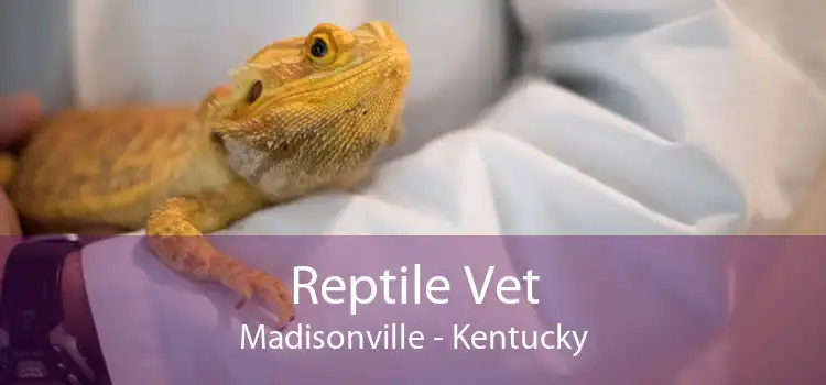 Reptile Vet Madisonville - Kentucky