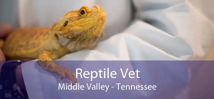 Reptile Vet Middle Valley - Tennessee