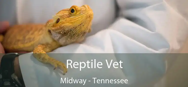 Reptile Vet Midway - Tennessee