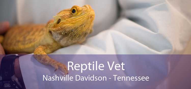 Reptile Vet Nashville Davidson - Tennessee
