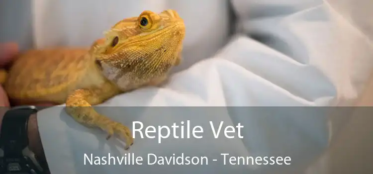 Reptile Vet Nashville Davidson - Tennessee