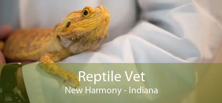 Reptile Vet New Harmony - Indiana