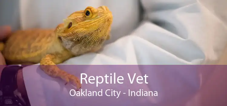 Reptile Vet Oakland City - Indiana
