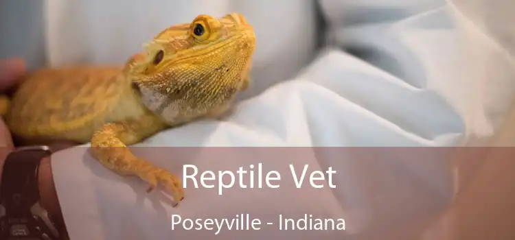 Reptile Vet Poseyville - Indiana