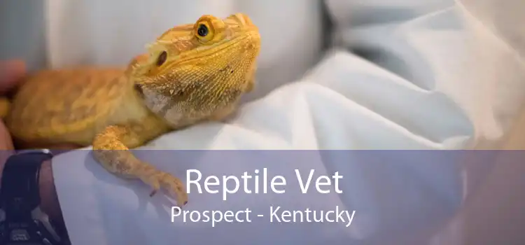 Reptile Vet Prospect - Kentucky