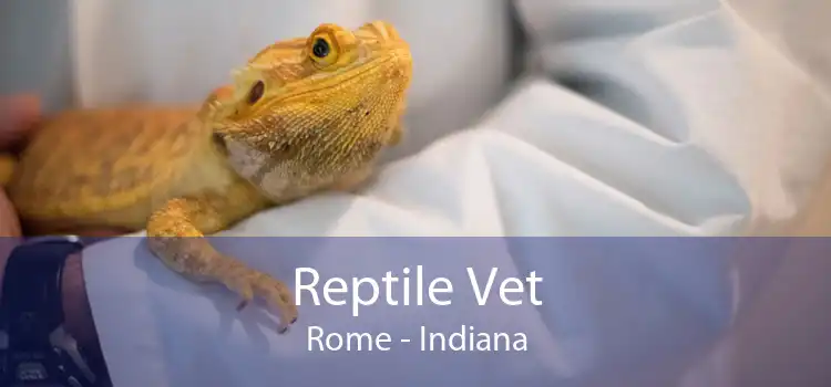 Reptile Vet Rome - Indiana