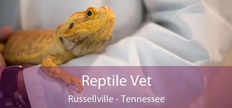 Reptile Vet Russellville - Tennessee