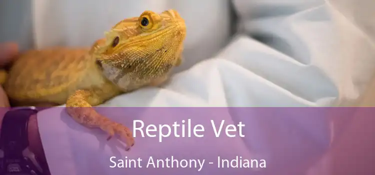 Reptile Vet Saint Anthony - Indiana