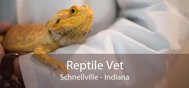 Reptile Vet Schnellville - Indiana