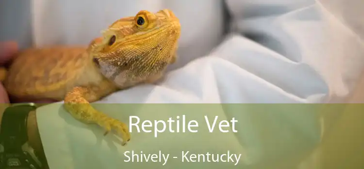 Reptile Vet Shively - Kentucky