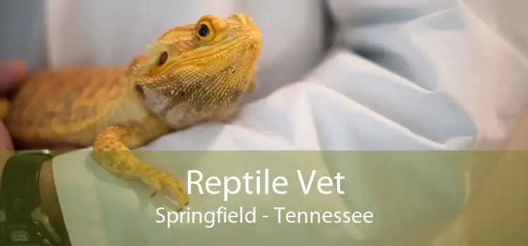 Reptile Vet Springfield - Tennessee