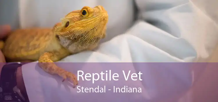 Reptile Vet Stendal - Indiana