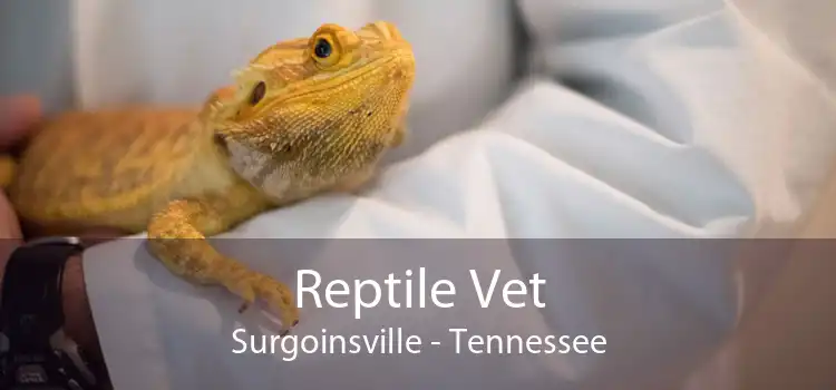 Reptile Vet Surgoinsville - Tennessee