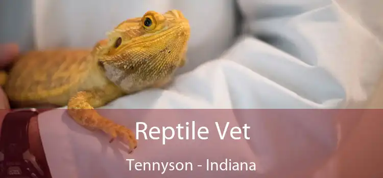 Reptile Vet Tennyson - Indiana