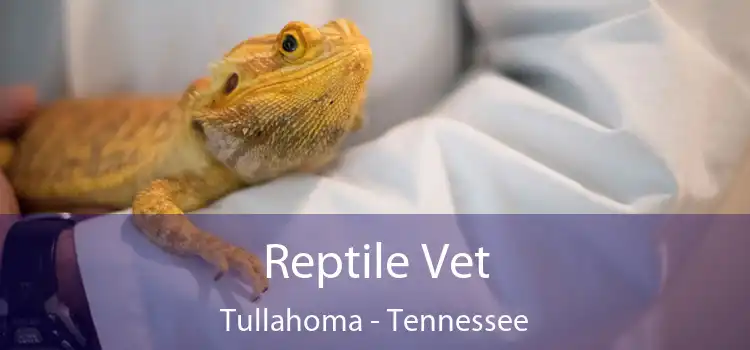 Reptile Vet Tullahoma - Tennessee