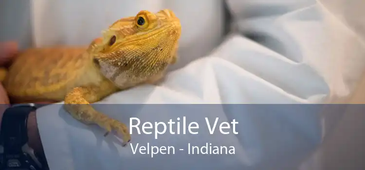 Reptile Vet Velpen - Indiana