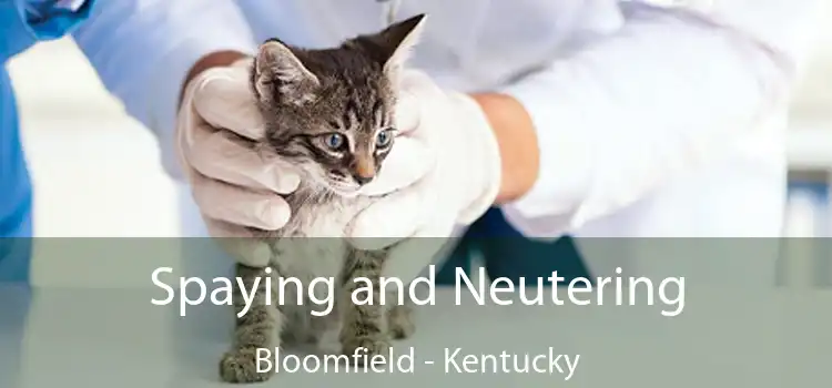 Spaying and Neutering Bloomfield - Kentucky