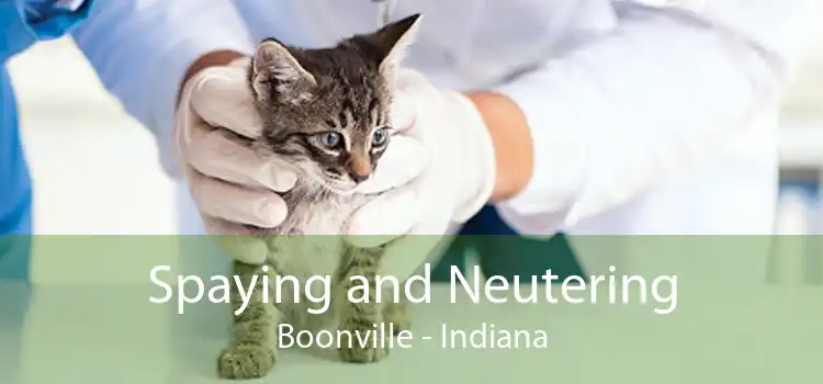 Spaying and Neutering Boonville - Indiana