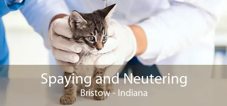 Spaying and Neutering Bristow - Indiana