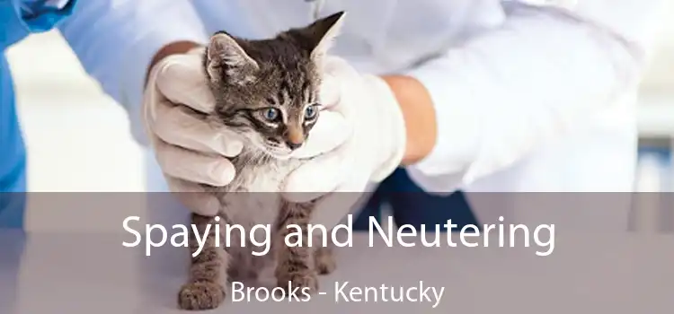 Spaying and Neutering Brooks - Kentucky