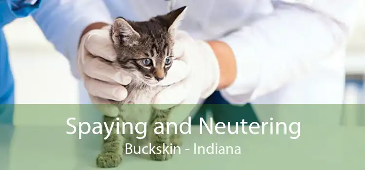 Spaying and Neutering Buckskin - Indiana