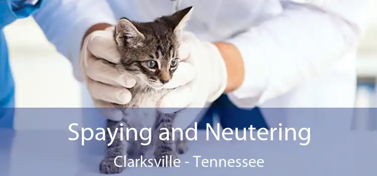 Spaying and Neutering Clarksville - Tennessee