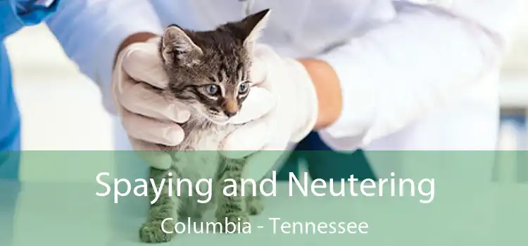 Spaying and Neutering Columbia - Tennessee