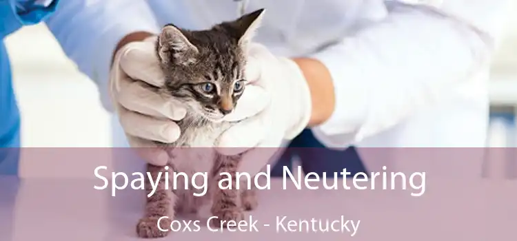 Spaying and Neutering Coxs Creek - Kentucky