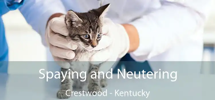 Spaying and Neutering Crestwood - Kentucky