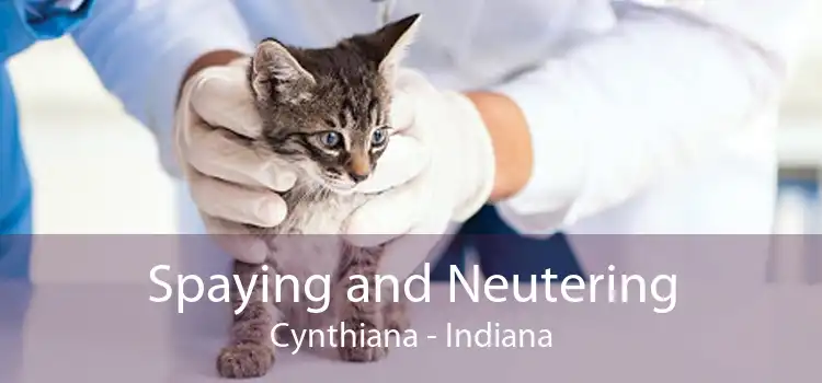 Spaying and Neutering Cynthiana - Indiana