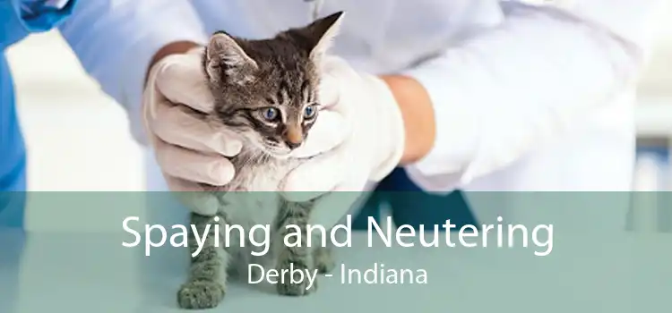 Spaying and Neutering Derby - Indiana