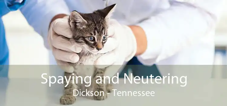 Spaying and Neutering Dickson - Tennessee