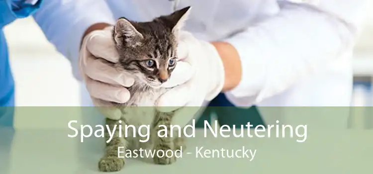 Spaying and Neutering Eastwood - Kentucky