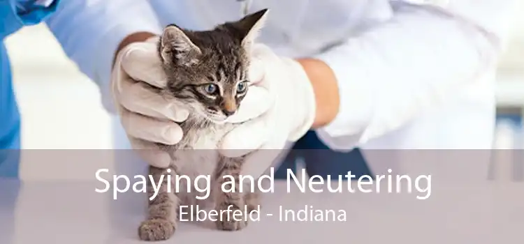 Spaying and Neutering Elberfeld - Indiana