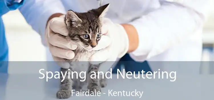 Spaying and Neutering Fairdale - Kentucky