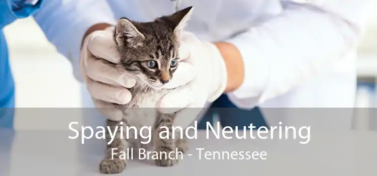 Spaying and Neutering Fall Branch - Tennessee