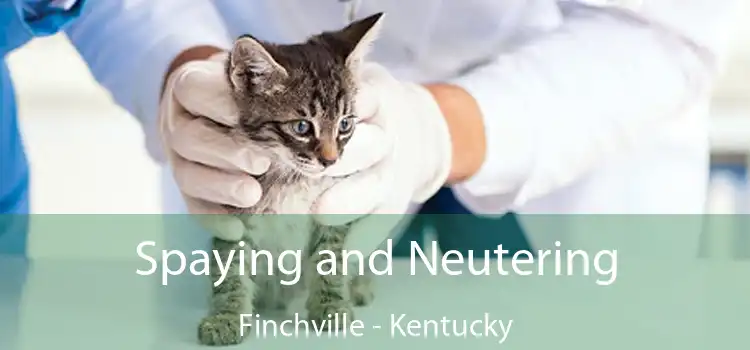 Spaying and Neutering Finchville - Kentucky