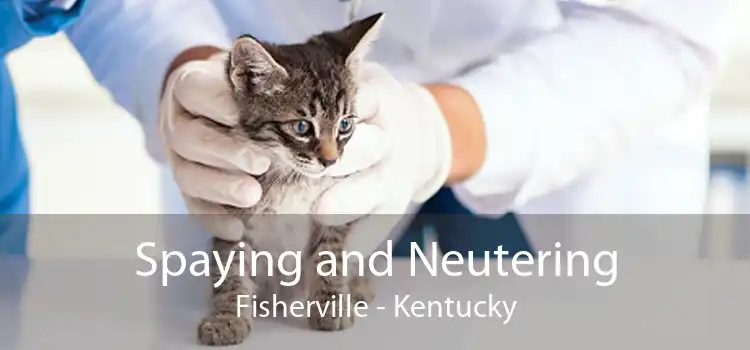Spaying and Neutering Fisherville - Kentucky
